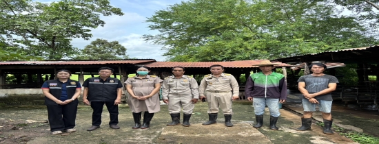 เทศบาลตำบลหนองแวงแก้มหอม ร่วมกับสาธารณสุขอำเภอไชยวาน ท้องถิ่นอำเภอไชยวาน ปศุสัตว์อำเภอไชยวาน และผอ.รพ.สต.หนองแวง ได้ลงพื้นที่ตรวจสอบฟาร์มสุกร