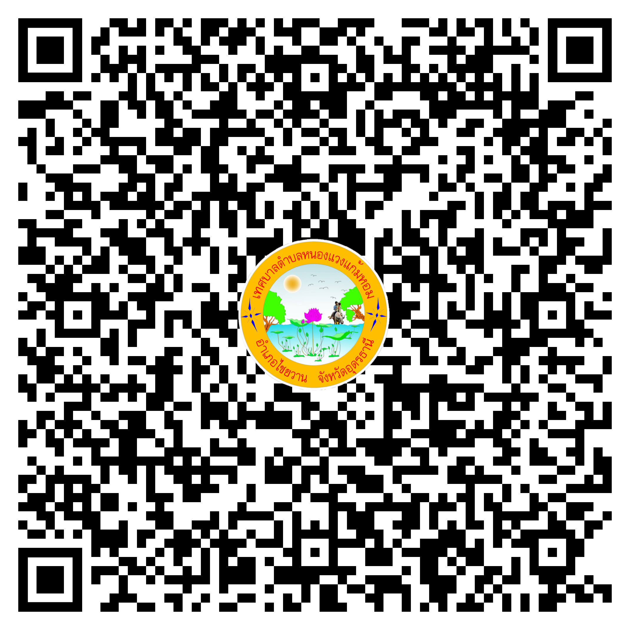 qr code 030