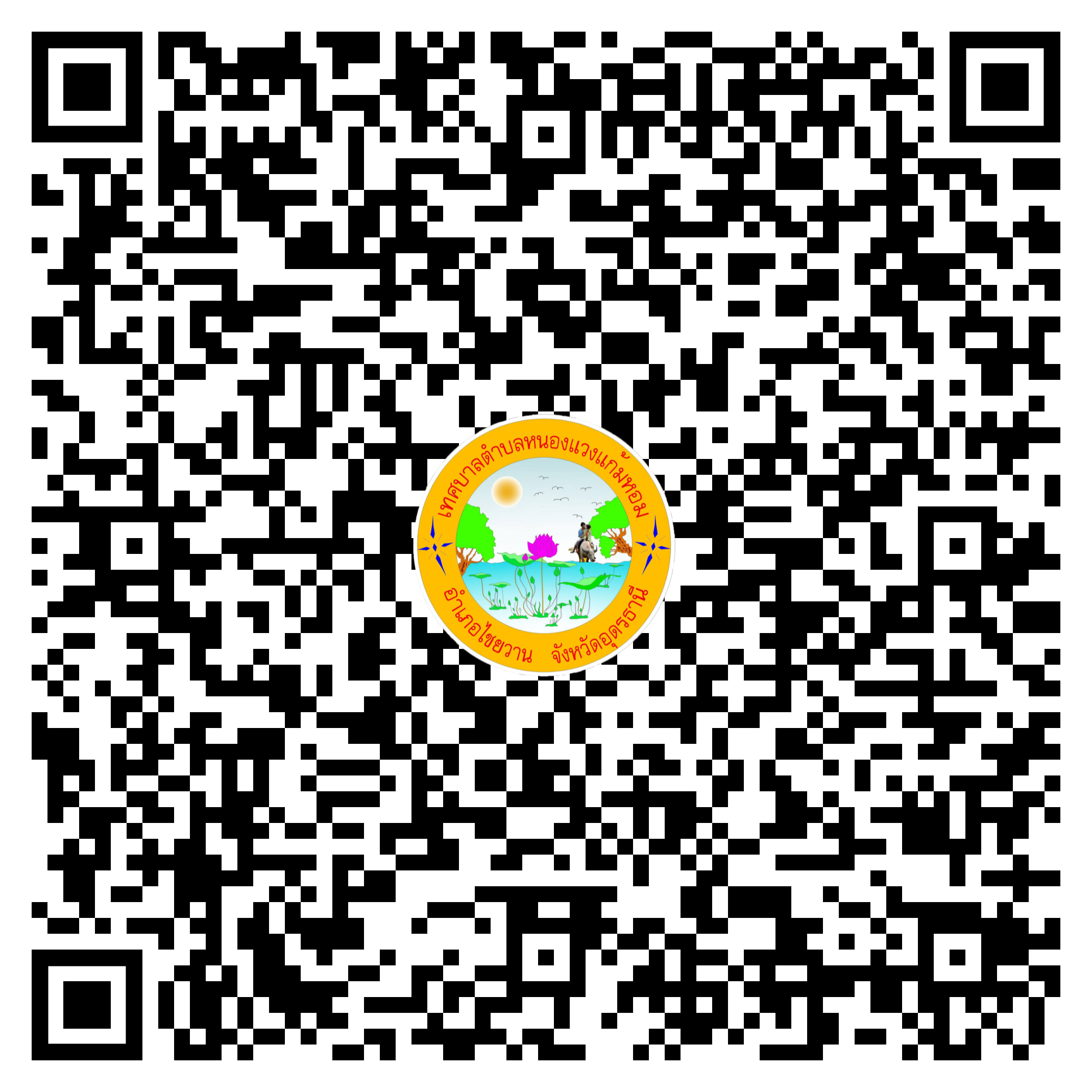 qr code 030