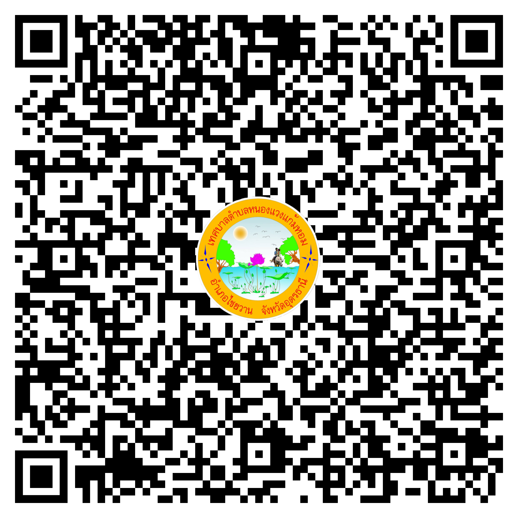 qr code 030